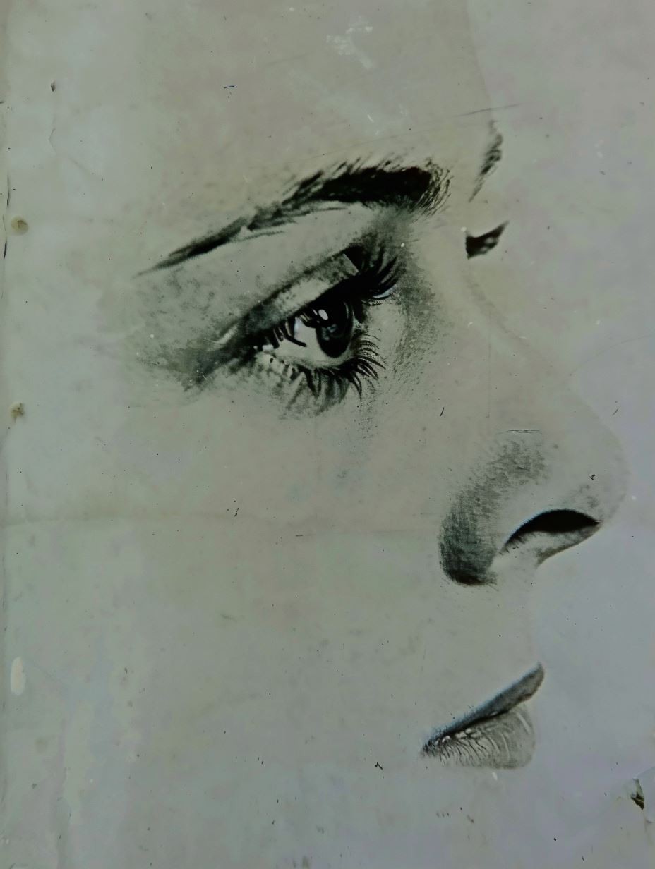 Fragments of a Gaze - Image 1