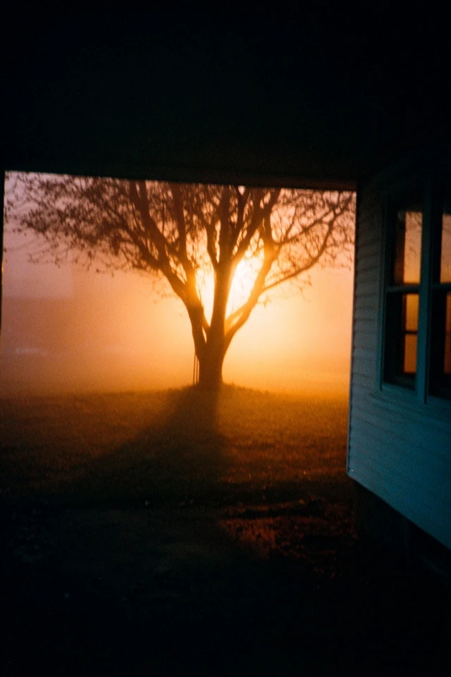 Amber Glow Silhouette - Image 5