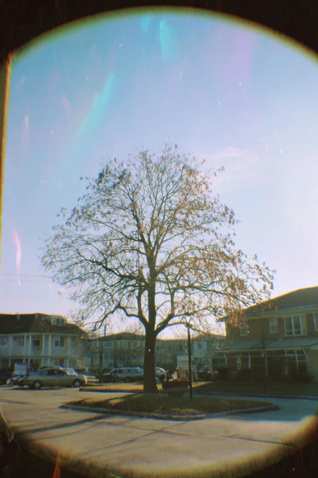 Prismatic Retro Haze - Image 5