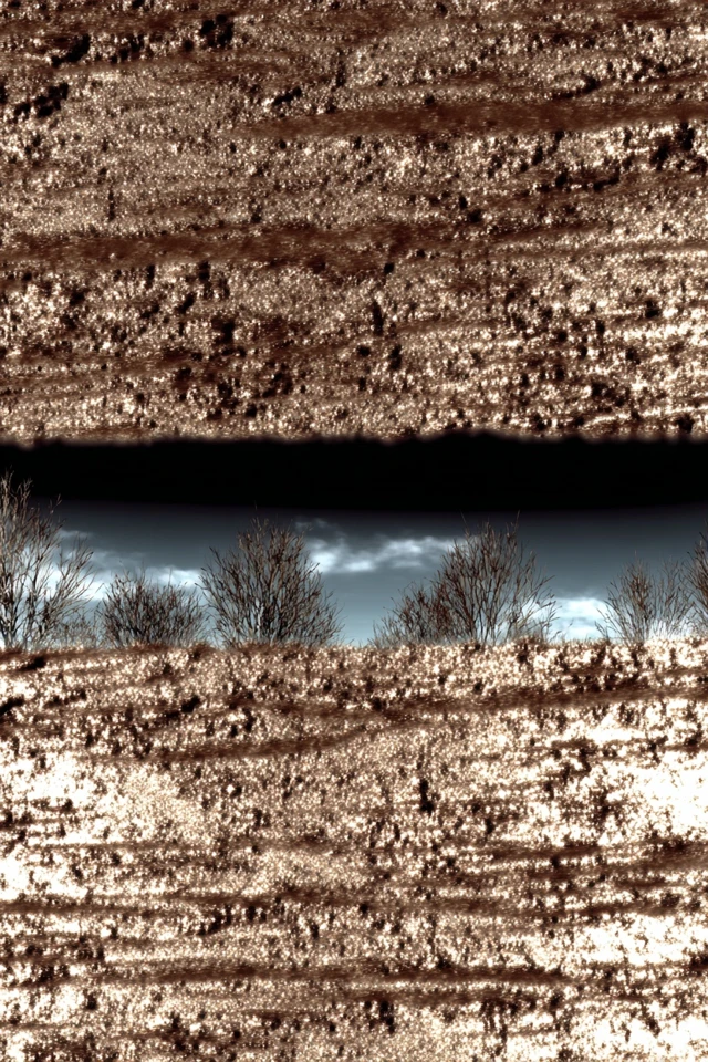 Raw Texture Portrait - Image 2