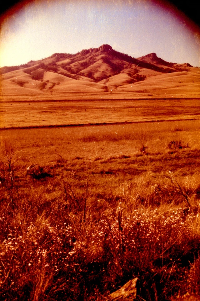 Vintage Velvet Soul - Image 2