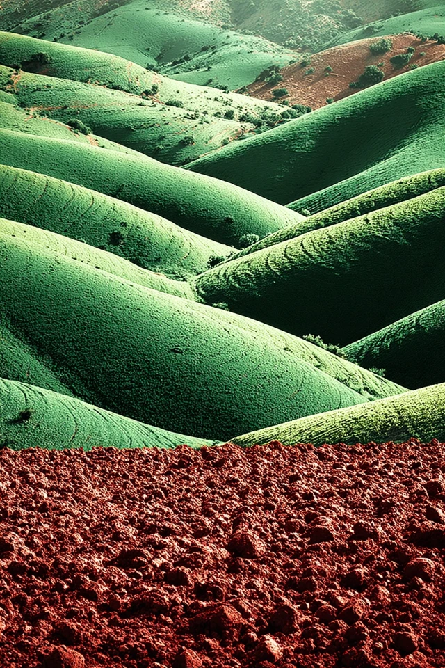 A Fusion of Nature and Flavor - Image 2
