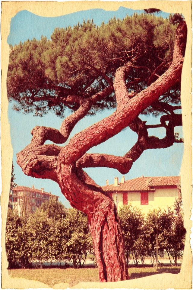 Vintage Classical Portrait - Image 5