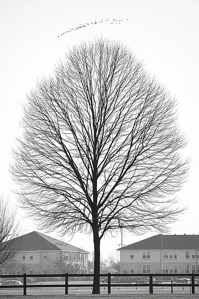 Monochrome Muse - Image 5