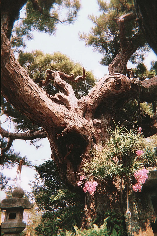 Pastel Grunge Dream - Image 5