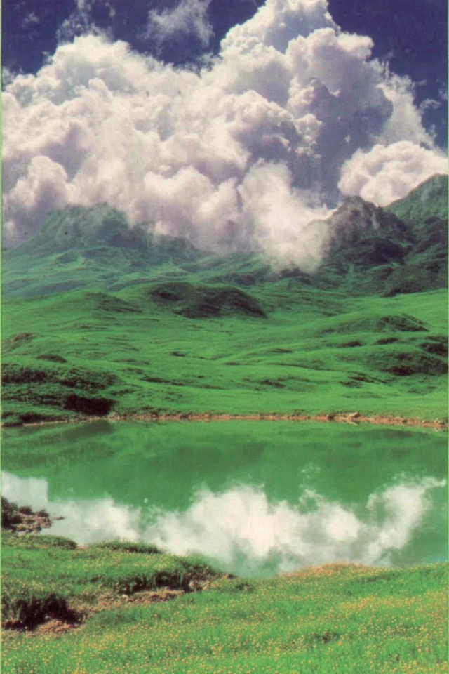 Emerald Retro Chic - Image 2