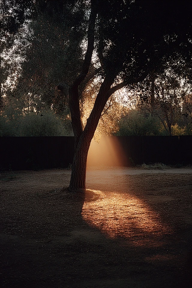 Golden Hour Melancholy - Image 5