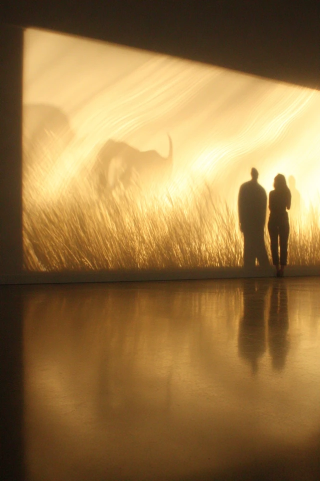 Golden Hour Shadows - Image 2