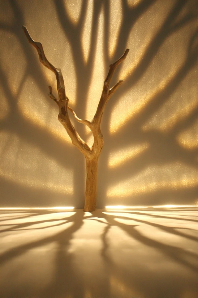 Golden Hour Shadows - Image 5