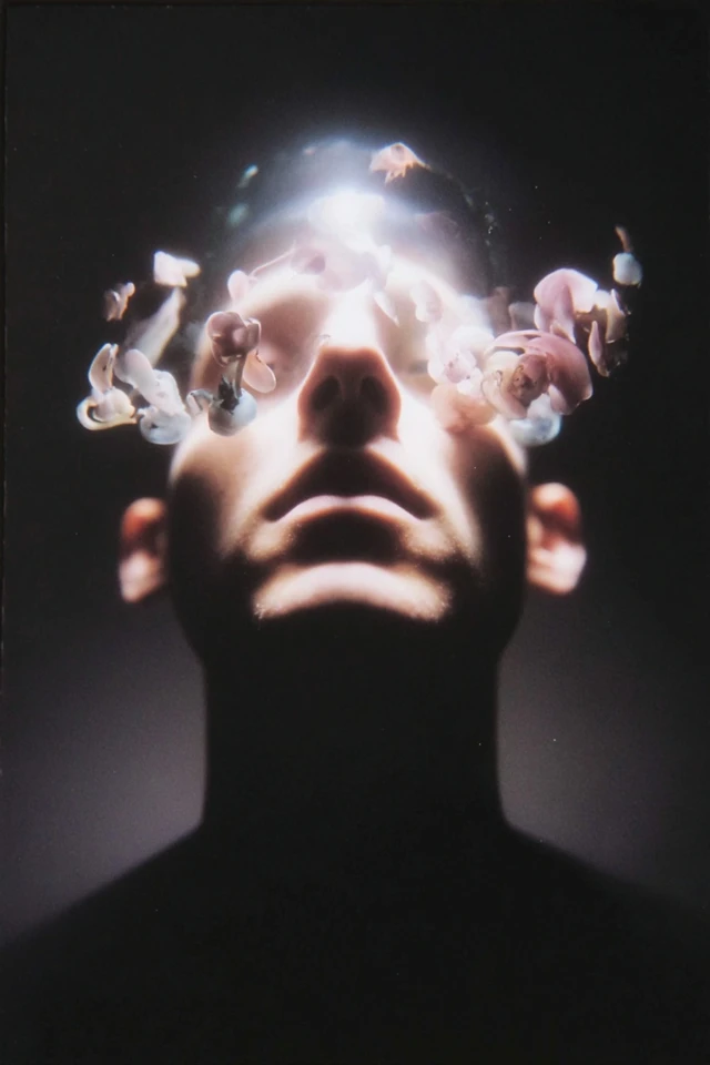 Floral Consciousness - Image 1