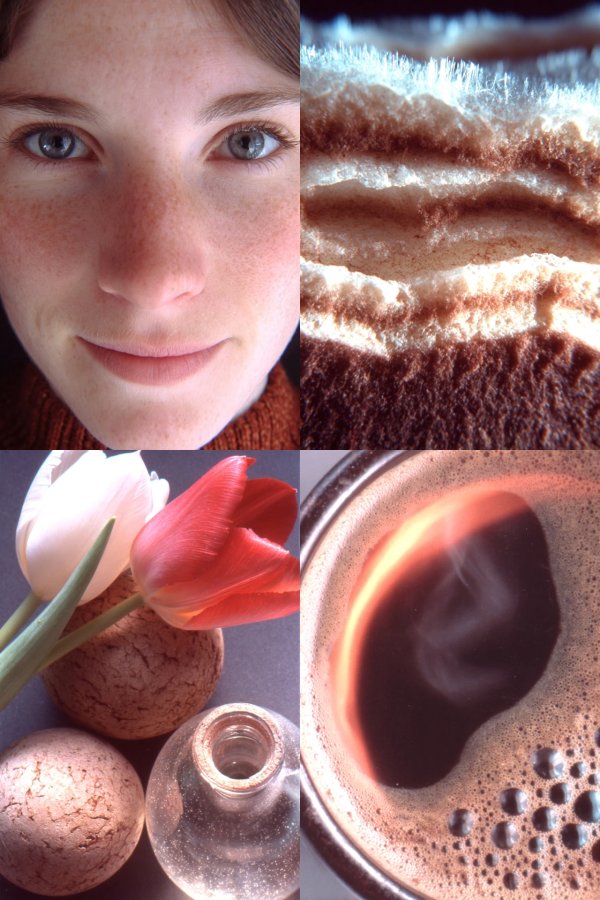 Morning Moments and Natural Textures