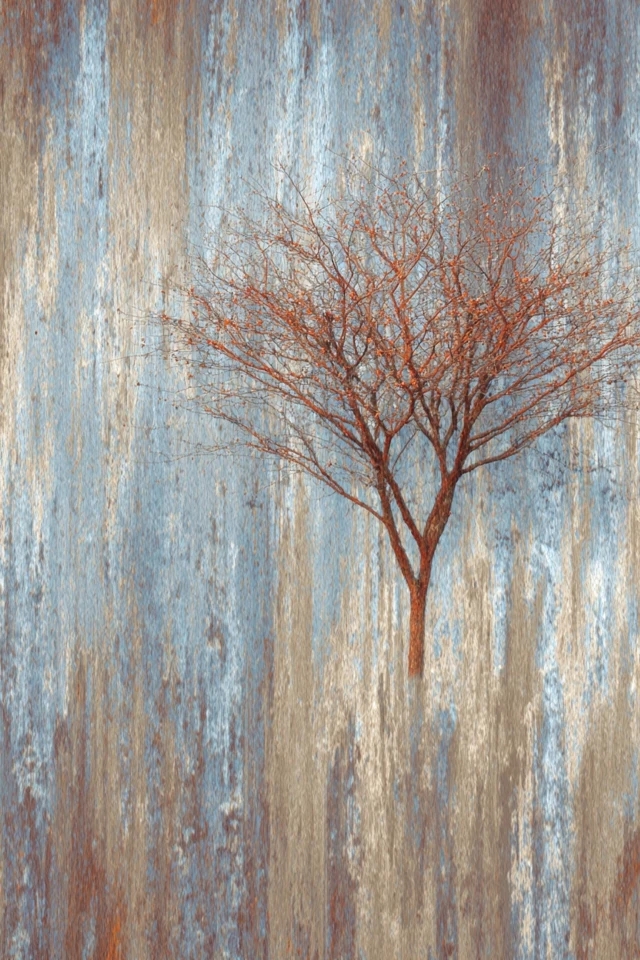 Oxidized Soul - Image 5