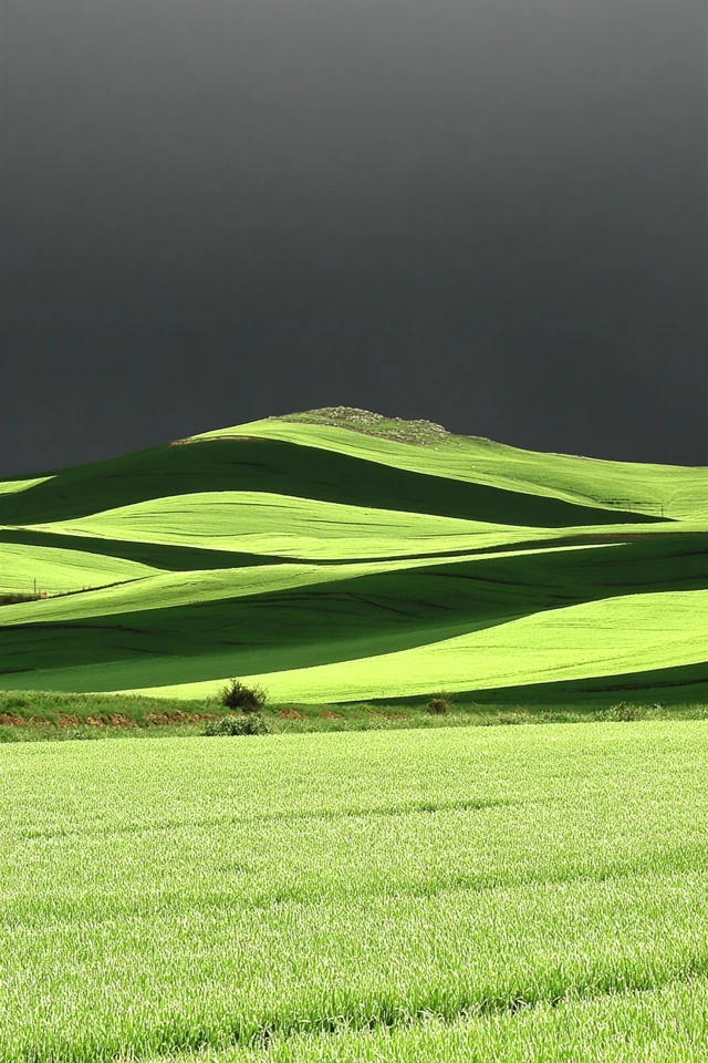 Nature's Essence and Quiet Moments - Image 2