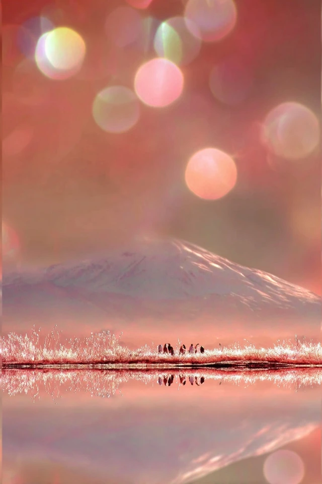 Glittering Ethereal Glow - Image 2