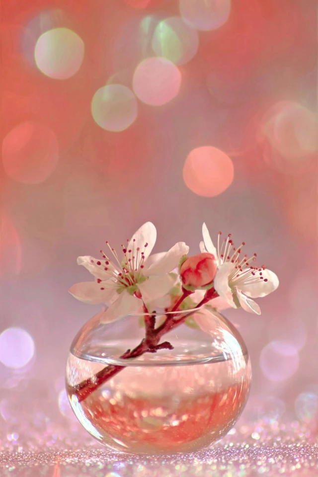 Glittering Ethereal Glow - Image 3