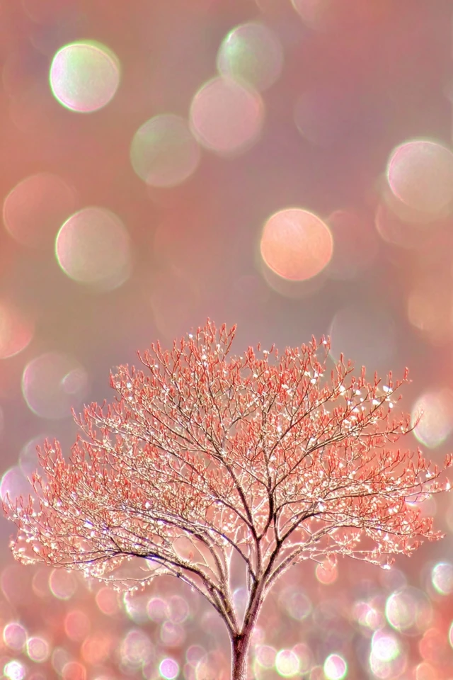 Glittering Ethereal Glow - Image 5