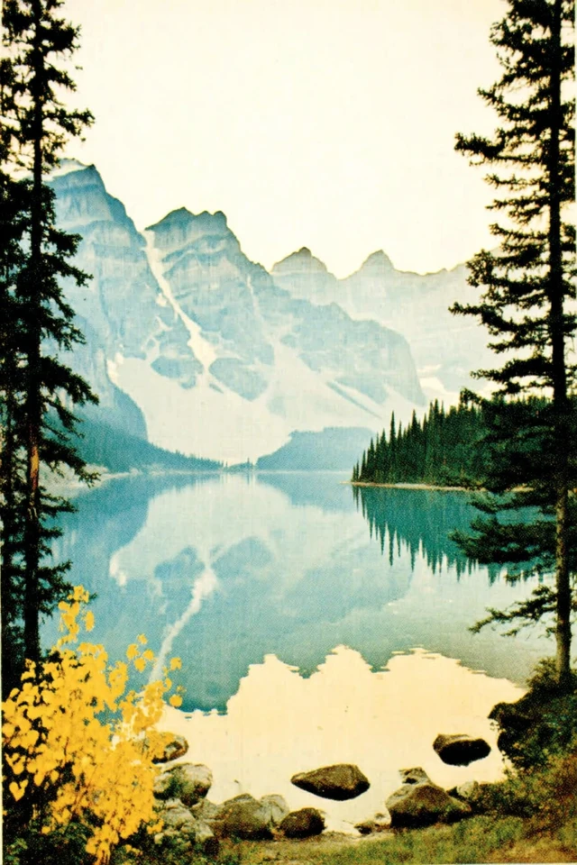 Vintage Youthful Elegance - Image 2
