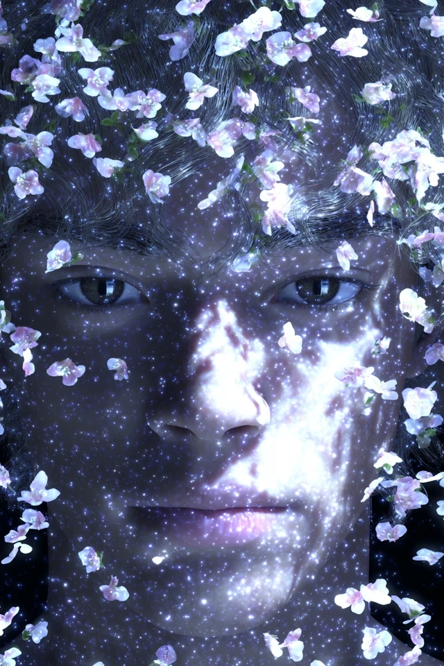 Celestial Blossom Dream - Image 1