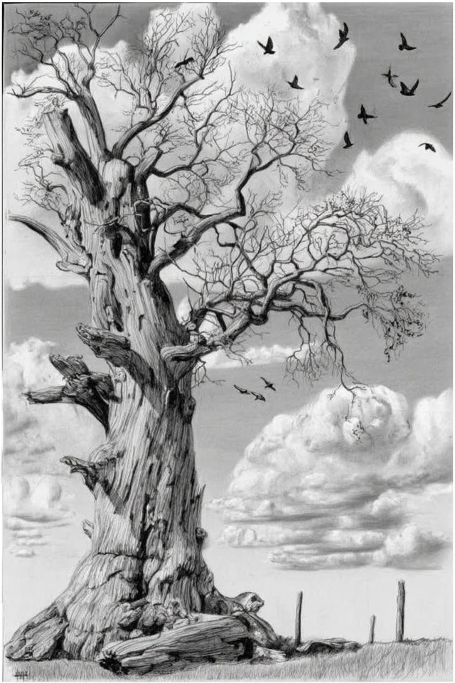 Mastery of Graphite: A Diverse Art Portfolio - Image 5
