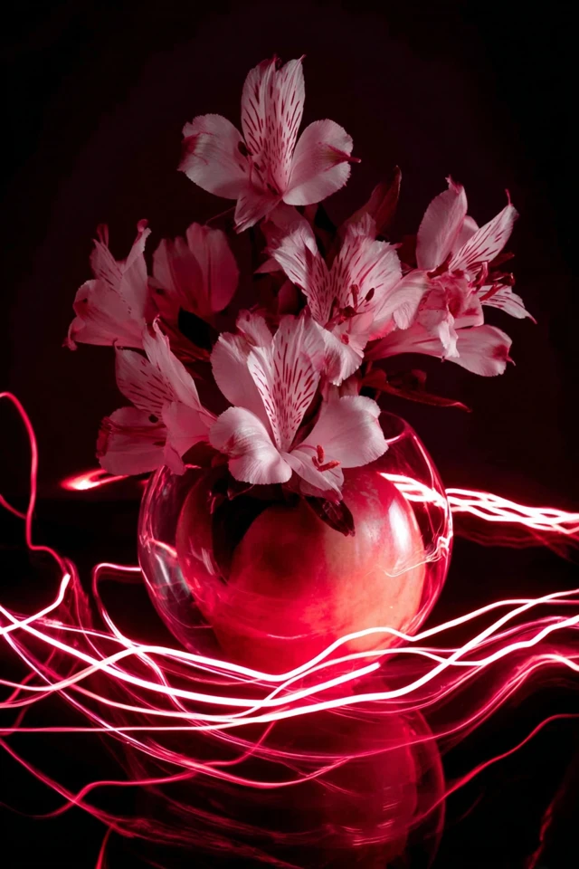 Neon Crimson Veils - Image 3