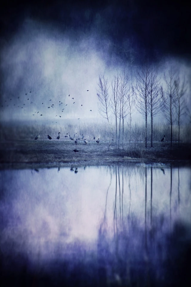 Midnight Azure Melancholy - Image 2