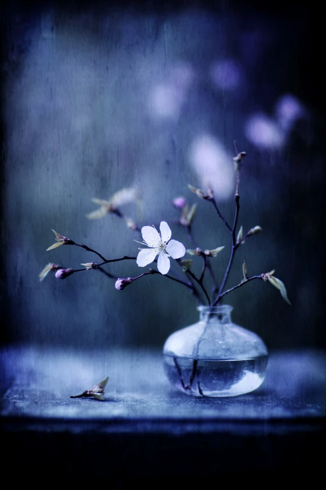 Midnight Azure Melancholy - Image 3