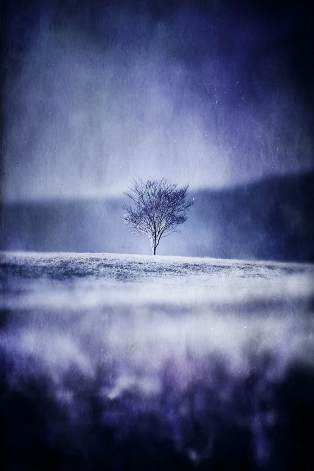 Midnight Azure Melancholy - Image 5