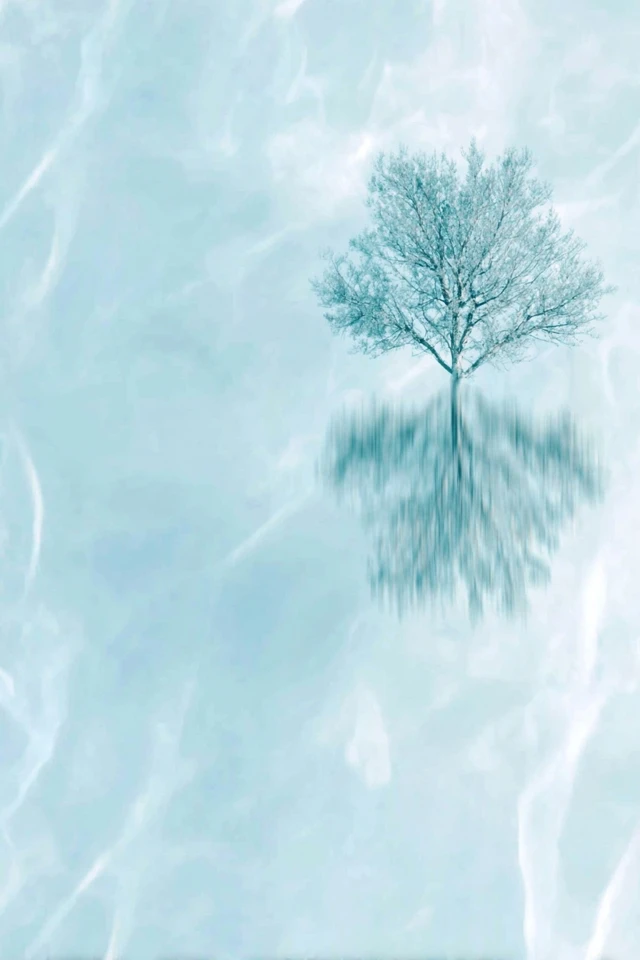 Frozen Gaze - Image 5