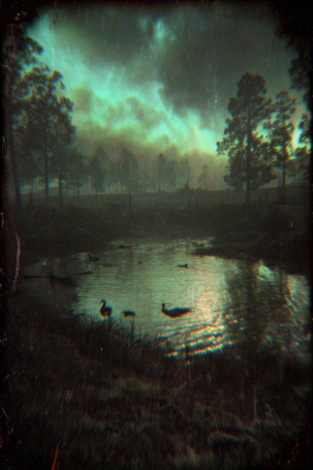 Whispers of a Haunted Nocturne - Image 2
