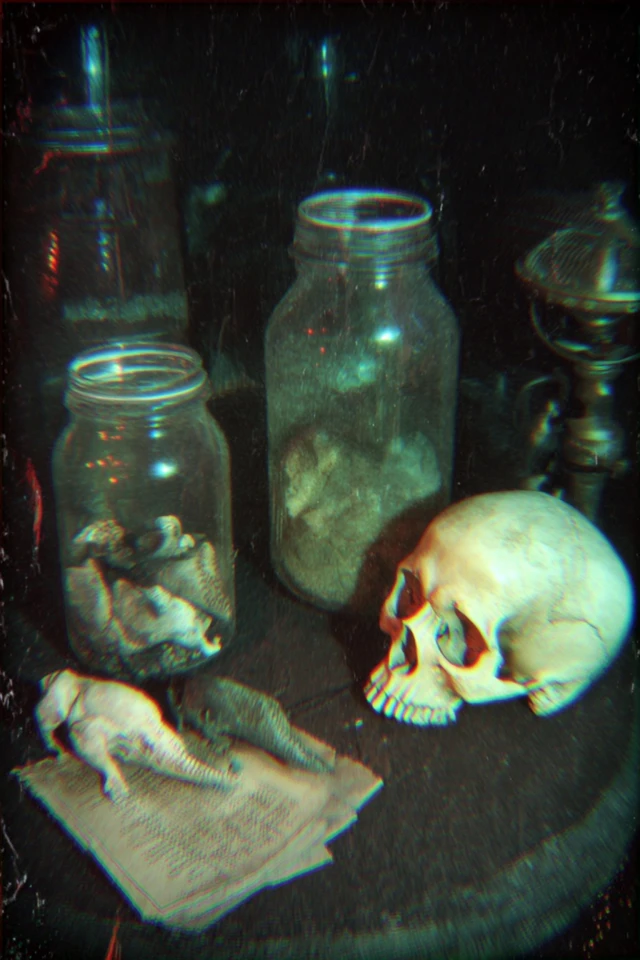 Whispers of a Haunted Nocturne - Image 3