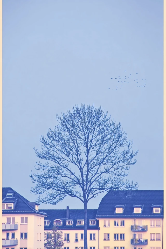 Azure Echoes of Stillness - Image 5