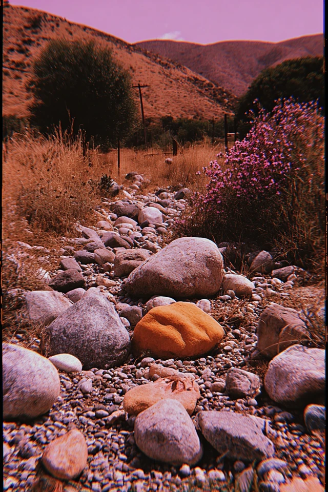 Dreamy Pastel Aesthetics Collage - Image 2