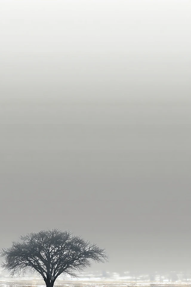 Muted Soul Portrait - Image 5