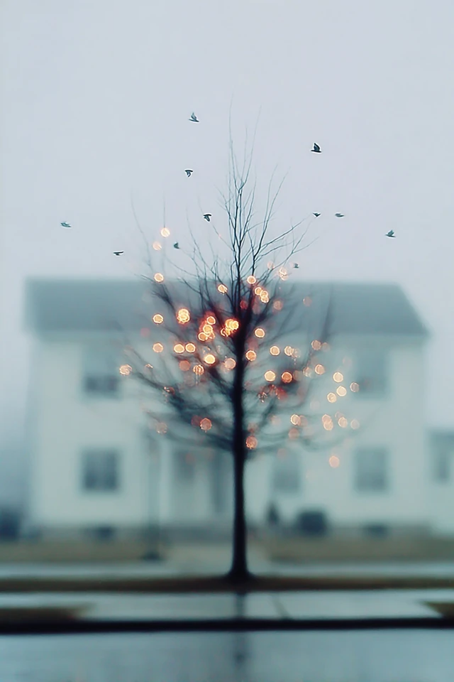 Hazy Gaze - Image 5