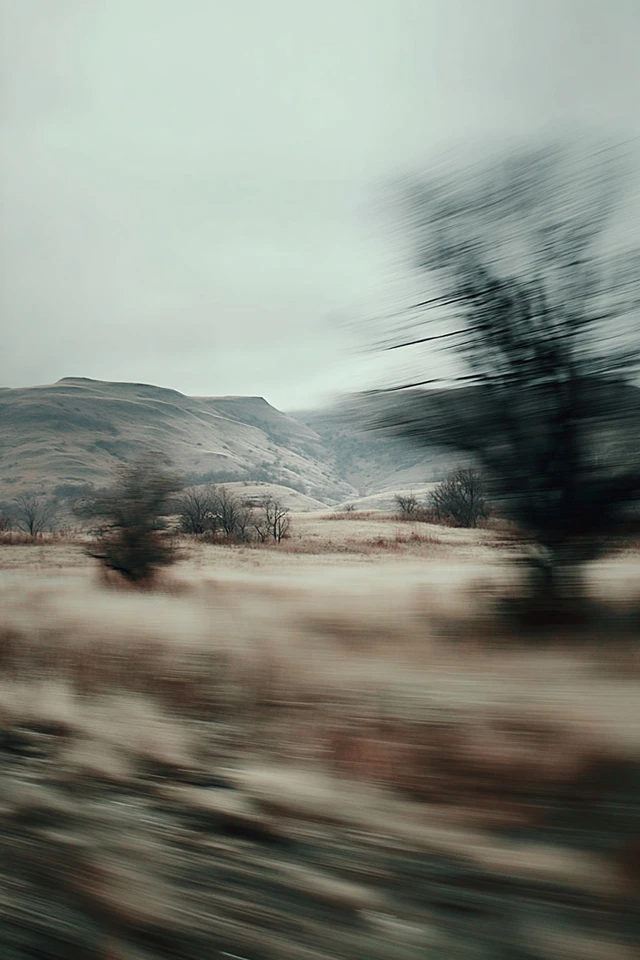 Haunting Echoes - Image 2