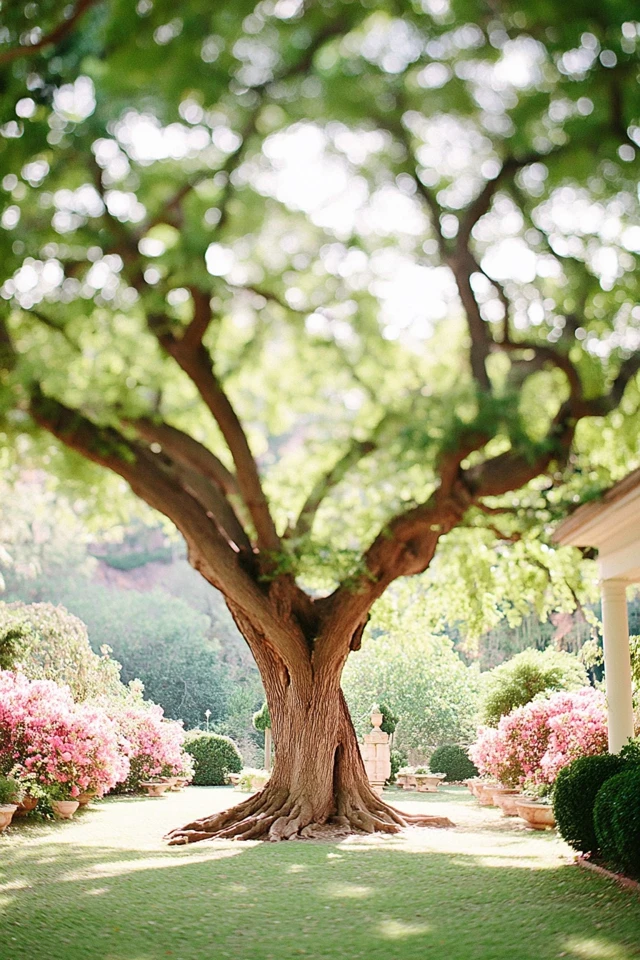 Summer Garden Elegance - Image 5