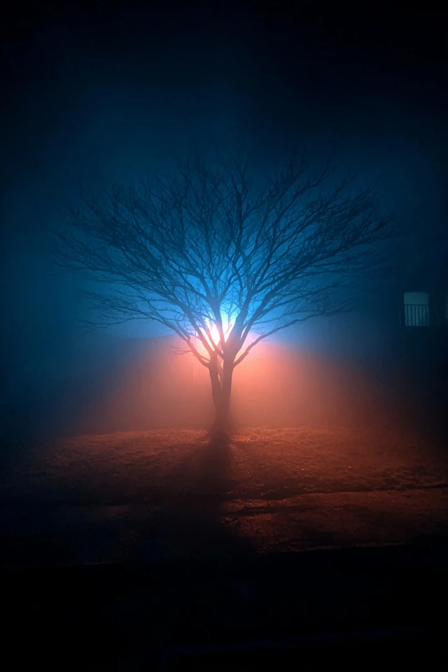 Midnight Mist Mystery - Image 5
