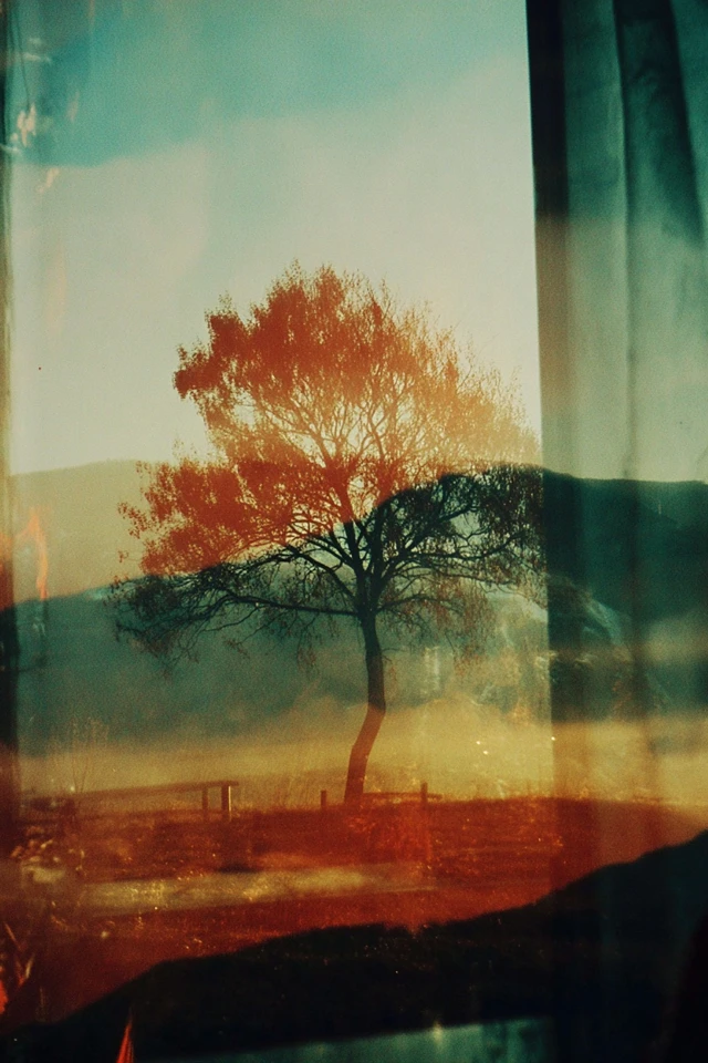 Hazy Dream Reflection - Image 5