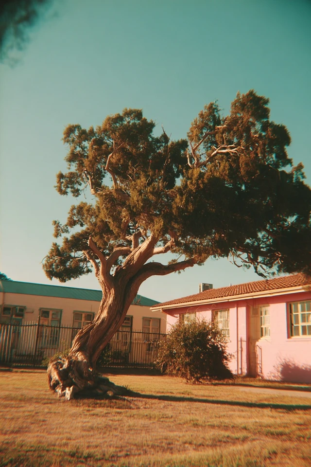 Vintage Dreamscape Collage - Image 5