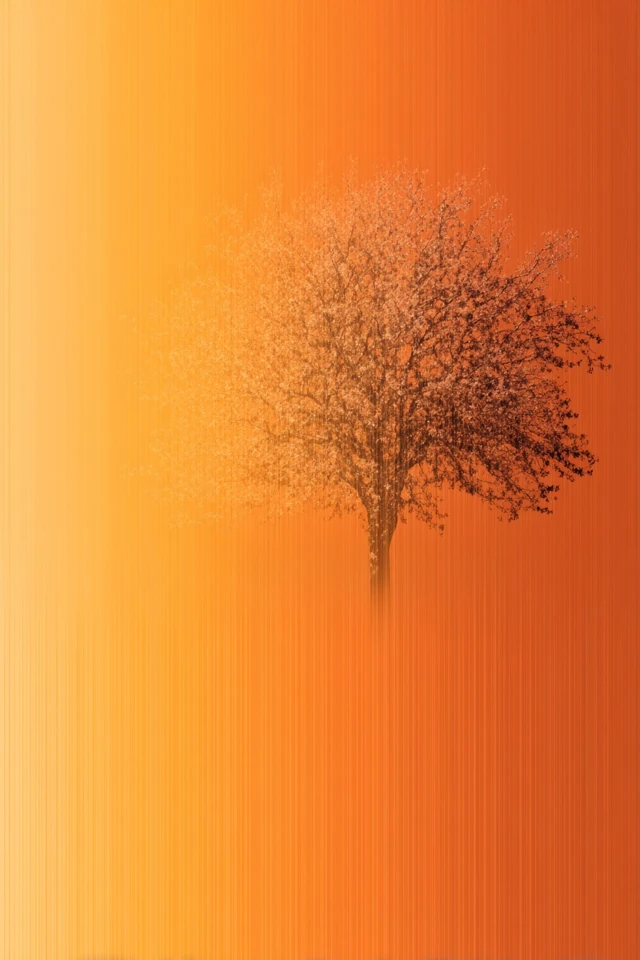 Golden Hour Mood Board - Image 5