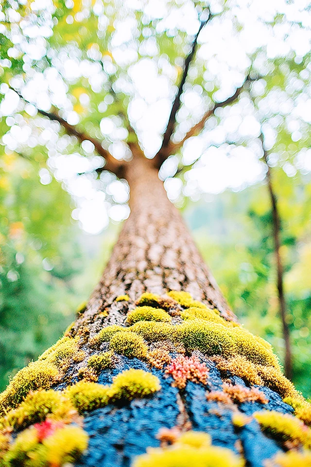 Vibrant Whimsy Portrait - Image 5
