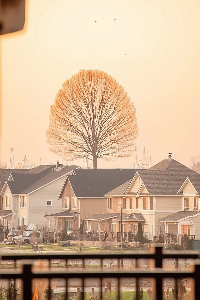 Warm Hues and Cozy Moments - Image 5