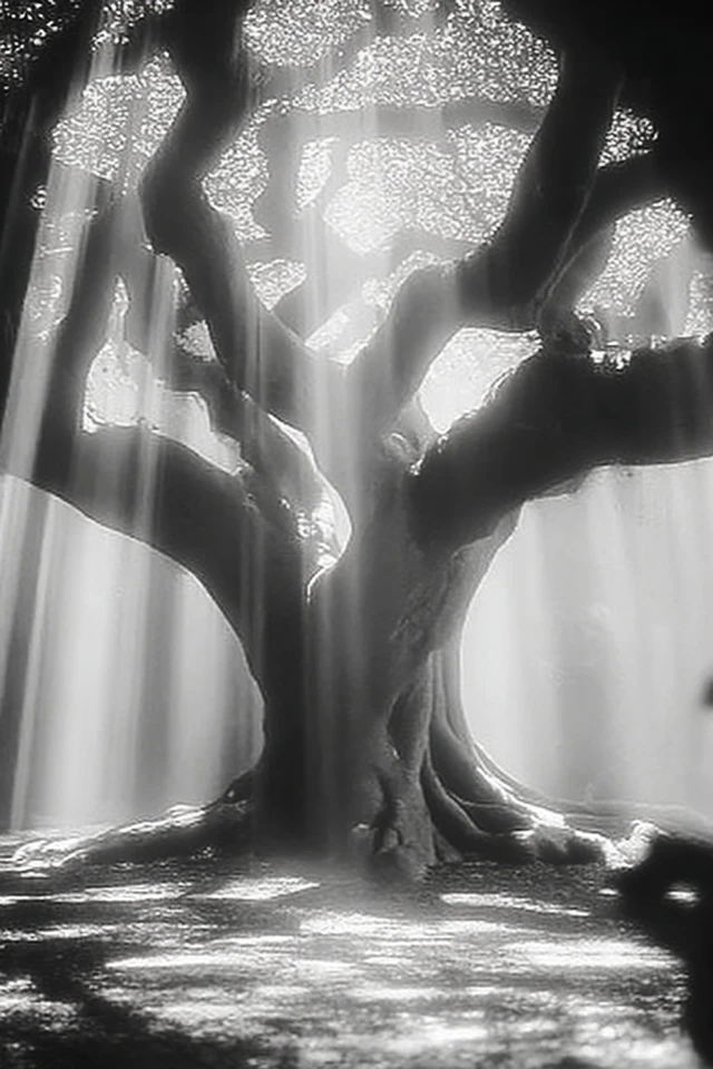 Ethereal Monochrome Grace - Image 5
