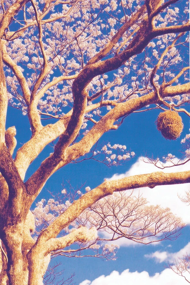 Anime Aesthetic Collage - Image 5