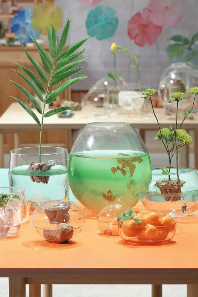 Whimsical Seal Sanctuary - Image 3