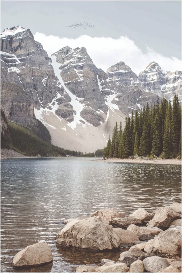 Earth Tone Aesthetic Mood Board - Image 2