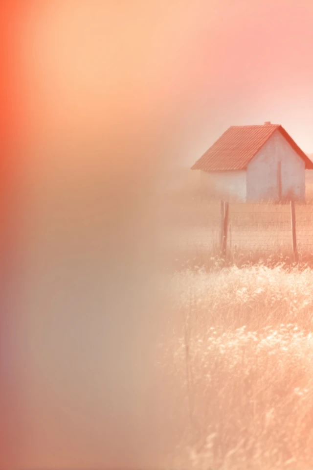 Golden Haze Dream - Image 6