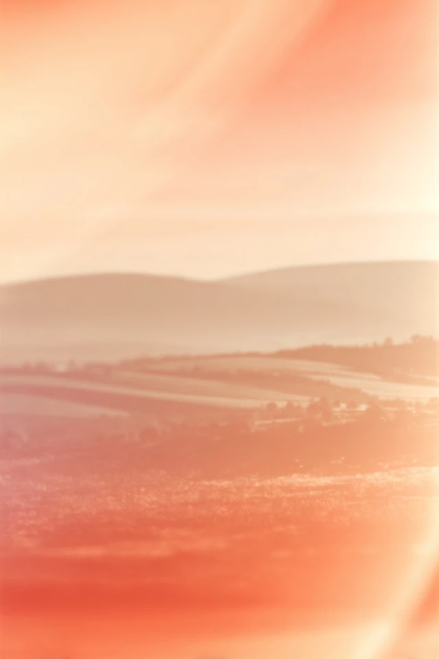 Golden Haze Dream - Image 2