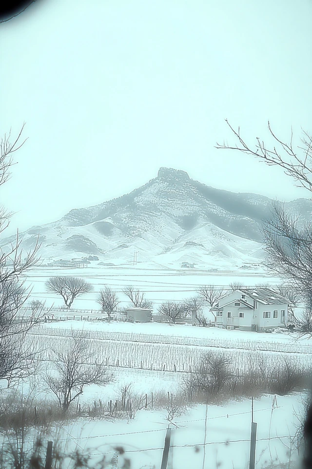 Winter Whispers and Quiet Moments - Image 2