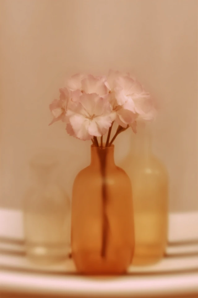 Hazy Dream Portrait - Image 3